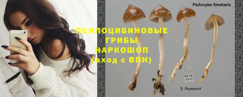 ОМГ ОМГ зеркало  Ефремов  Галлюциногенные грибы Magic Shrooms 